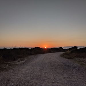 Wandel Schreib-Guide
